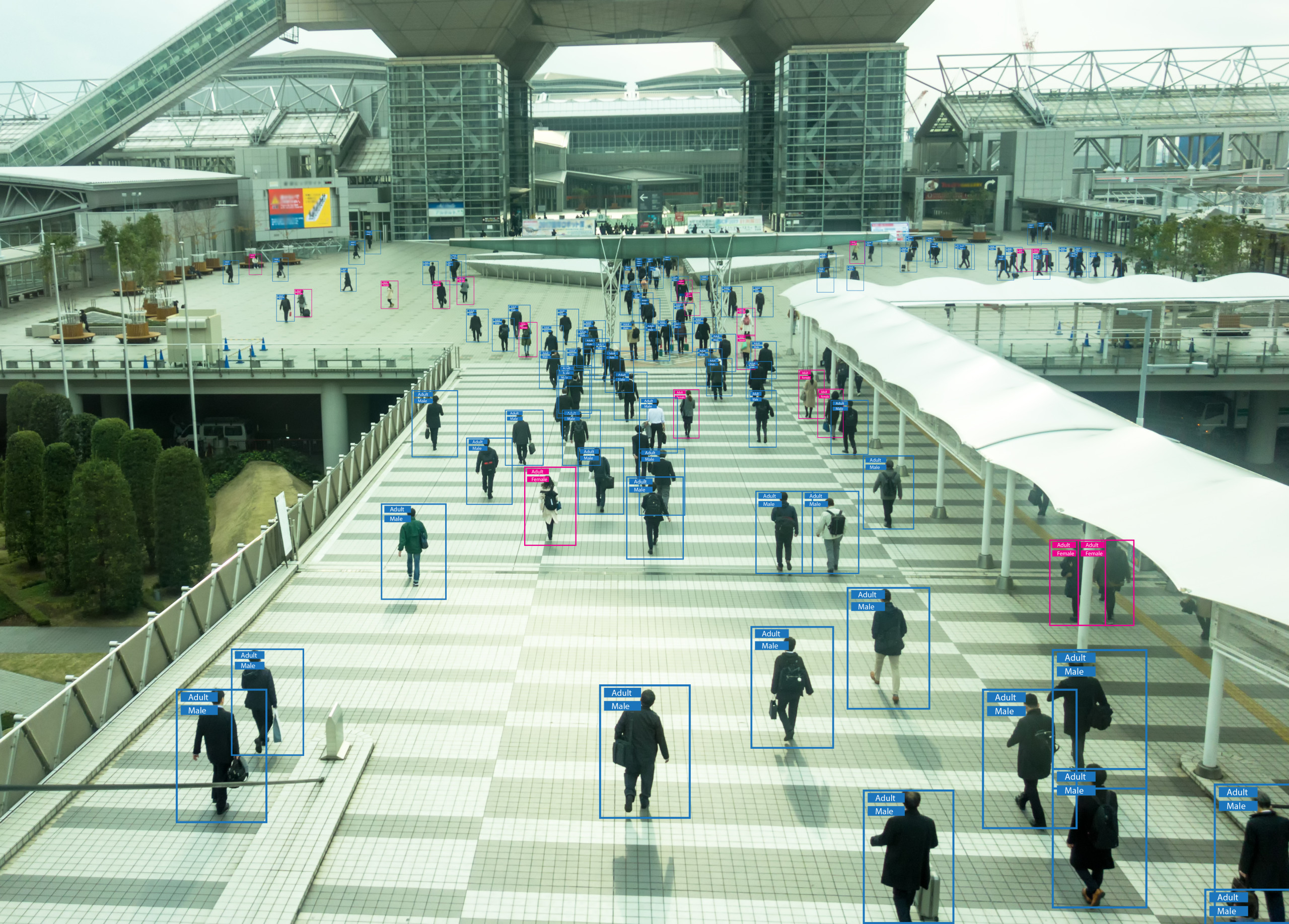 ai-group-human-recognition-crowd