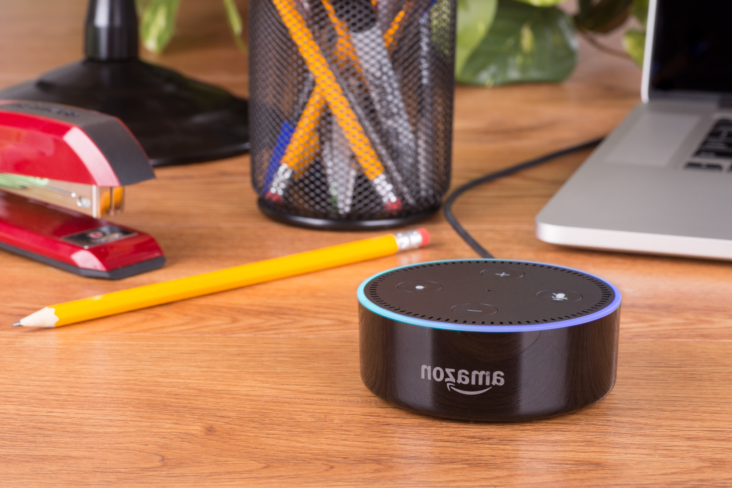 alexa-conversation-ai